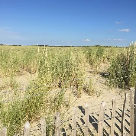 Haags Duinhuis - Familyfriendly With Sauna